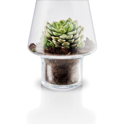 Skleněná váza na sukulenty Succulent Vase 15 cm Eva Solo – Zbozi.Blesk.cz