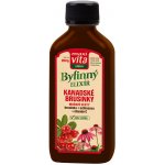Maxi Vita Herbal Bylinný elixír Brusinka 200 ml – Hledejceny.cz