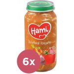 Hami boloňské špagety 10+ 6 x 250 g – Zboží Mobilmania