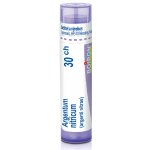 ARGENTUM NITRICUM POR 30CH GRA 1X4G – Hledejceny.cz