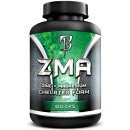 Bodyflex ZMA 100 kapslí