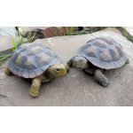 Prodex Import Želva zahradní dekorace 2 druhy – Zboží Dáma
