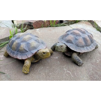 Prodex Import Želva zahradní dekorace 2 druhy – Zboží Dáma