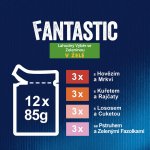Felix Fantastic hovězí s mrkví kuře s rajčaty losos s cuketou pstruh se zelenými fazolkami v želé 12 x 85 g – Sleviste.cz