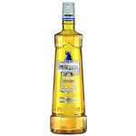Puschkin Time Warp 17,7% 1 l (holá láhev) – Zbozi.Blesk.cz