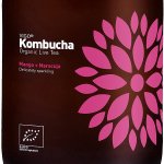 Vigo Kombucha mango a maracuja bio 330 ml – Zboží Dáma