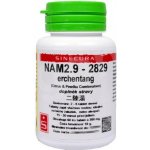 Sinecura NAM2.9 erchentang 60 tablet – Hledejceny.cz
