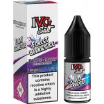 I VG Salt Forest Berries Ice 10 ml 20 mg – Zboží Mobilmania