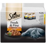 Sheba Fresh & Fine Drůbeží výběr ve šťávě 15 x 50 g – Zboží Mobilmania