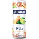 Amundsen Mule RTD 6% 0,25 l (holá láhev) – Zboží Dáma