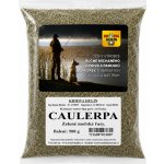 KH Caulerpa zelené mořské řasy 500 g – Hledejceny.cz