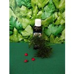 Rabštejnská apatyka Buk tinktura z pupenů 50 ml – Sleviste.cz