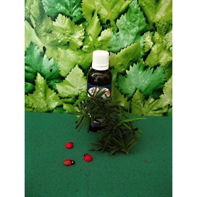 Rabštejnská apatyka Buk tinktura z pupenů 50 ml – Sleviste.cz