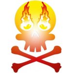 Reflective Berlin Reflexní nálepky Reflective Decals Skull fire – Zboží Dáma