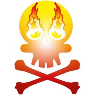 Reflective Berlin Reflexní nálepky Reflective Decals Skull fire – Zboží Dáma