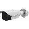 IP kamera Hikvision DS-2TD2138-15/QY (B)