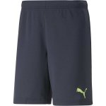Puma INDIVIDUALRISE SHORTS – Hledejceny.cz