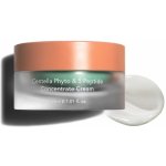 Haruharu Wonder Centella Phyto 5 Peptide Concentrate Cream 30 ml – Hledejceny.cz