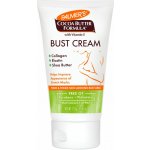 Palmer's Pregnancy masážní krém proti striím Cocoa Butter Formula For Tummy Hips Things & Bust 125 g – Zboží Dáma Palmer's Pregnancy masážní krém proti striím Cocoa Butter Formula For Tummy Hips Things & Bust 125 g – Zboží Dáma