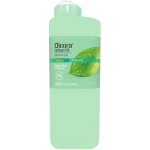 Dicora Urban Fit Detox Green Tea sprchový gel 400 ml – Hledejceny.cz