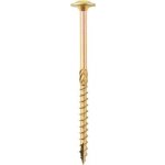 DOMAX Konstrukční vrut CT s talířovou hlavou TORX T25 5 x 70 mm pozinkovaný 200 ks – Hledejceny.cz