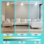 Noaton 11132WW – Zboží Dáma