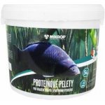 Scopex Proteinové pelety pro kapry granule 5 kg 6 mm – Zboží Dáma