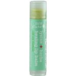 100% Pure Balzám na rty Lysin a bylinky 4,25 g – Zboží Dáma