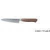 Kuchyňský nůž Dictum Japonský nůž Arata Hocho Gyuto Fish and Meat Knife 120 mm