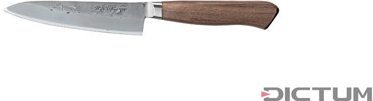 Dictum Japonský nůž Arata Hocho Gyuto Fish and Meat Knife 120 mm