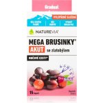 Swiss NatureVia Mega brusinky Akut 15 kapslí – Hledejceny.cz