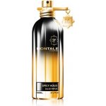 Montale Spicy Aoud parfémovaná voda unisex 100 ml – Hledejceny.cz