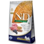 N&D Ancestral Grain Dog Adult Mini Lamb & Blueberry 0,8 kg – Hledejceny.cz