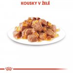 Royal Canin Sterilised Jelly 12 x 85 g – Zboží Mobilmania