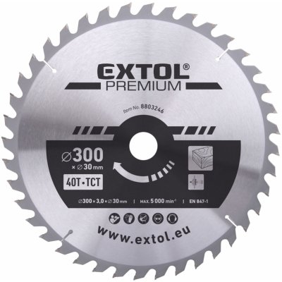 EXTOL PREMIUM Kotouč pilový s SK plátky, O 300x3,0x30mm, 40T (8803246) – Hledejceny.cz