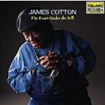 Cotton, James - Fire Down Under The Hill – Hledejceny.cz