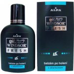 Windsor Fresh balzám po holení 100 ml – Zboží Mobilmania