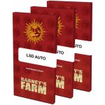 Barney's Farm LSD AUTO semena neobsahují THC 5 ks – Zboží Mobilmania