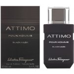 Salvatore Ferragamo Attimo Black Musk toaletní voda pánská 100 ml – Hledejceny.cz