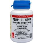 Sinecura FBH1.9 shengma gegen tang 60 tablet – Hledejceny.cz
