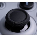 8BitDo Pro 2 Wireless Controller Nintendo Switch 6922621501725 – Zboží Živě