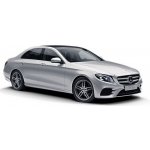 Steg BZ40C – Sleviste.cz