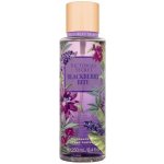 Victoria's Secret Blackberry Bite tělový sprej 250 ml – Zboží Dáma