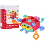 RKToys Multifunkční beruška pro nejmenší – Hledejceny.cz