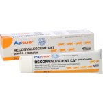 Aptus Reconvalescent Cat pasta pro kočky 60 g – Hledejceny.cz