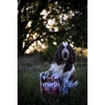 Marp Holistic Grain Free Salmon 2 kg – Hledejceny.cz