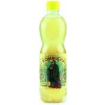 Stevikom Kombucha heřmánek 0,5 l – Zboží Dáma