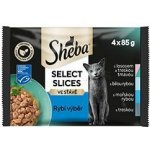 Sheba Selection in Sauce losos a treska tmavá bílá ryba mořská ryba treska obecná 4 x 85 g – Hledejceny.cz