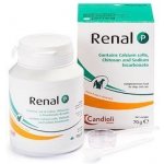 Candioli Renal P 70 g – Hledejceny.cz