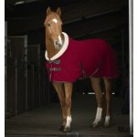 EQUITHÈME Odpocovací deka TEDDY zelená – Zboží Dáma